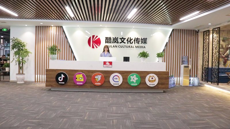 企业logo设计：价格如何构成与影响因素