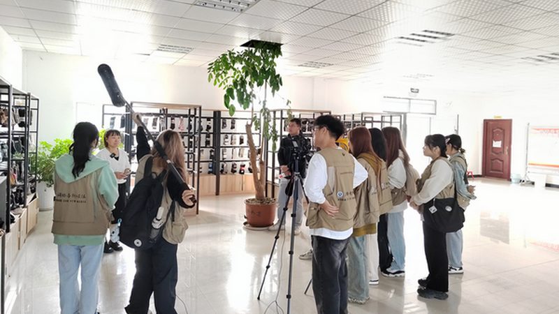 传媒公司注册费用：揭秘注册成本构成与影响因素